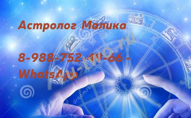  ,  ,  , ,   8-988-752-49-66 - --